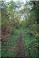 Path along the ditch surrounding Hunsbury Hillfort in NN4 9YP