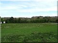 Grazing, Lloc in CH8 8QX