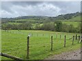 Farmland at Llwyncoed in LD3 9LY