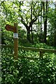 Bridleway sign near Moss Hill Lane in YO26 9SY