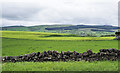 Fields beyond low stone wall in DG3 5JA