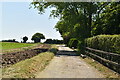 Footpath past Buddle's Farm in CT10 2QP