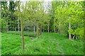 Bridleway at Back Park in YO26 9AA