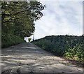 Hedge-lined minor road west of Dingestow, Monmouthshire in NP25 4DY