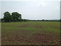 Open field west of Kemberton in TF11 9LB
