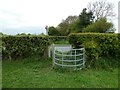 Gate on Offa's Dyke Path in SY22 6RP