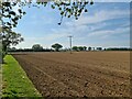 Freshly tilled field near Ingham in NR12 9ST