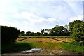 East Hanningfield, Bicknacre Road: Gated field in CM3 8AP