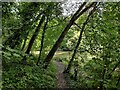 Path at Randlay Pool in Telford Town Park in TF3 1FE