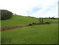 Hillside grazing near Glanlerry in SY24 5LS