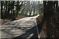 Lane through Deans Wood in TN8 7WH