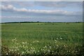 Fields south of Lolworth in Lolworth