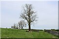 Country Scene between Berry Holme and Briggs House Farm in Helsington