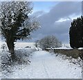 Wigton Cemetery - west wall in winter in CA7 9BY
