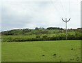 Grazing and power lines, Sarn in SY17 5JT