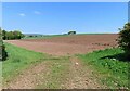 Field near Newstead in AB53 5YX
