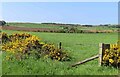 Fields near Lauchlansbrae in AB53 6UD