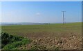 Field near Hindhillock in AB43 6QJ