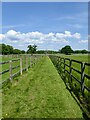 Permissive Footpath, Boxall Stud in RH14 0NN