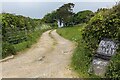 Higher Bologgas Farm access track in TR19 6AP