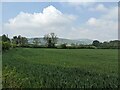 Farmland at Clunbury in SY7 0HG