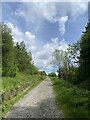 Track through Cwmparc Forest in Treorchy Community
