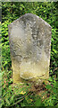 Old Milestone by the A356, Lower Kingcombe in DT2 0HP