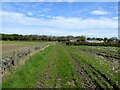 Path through field gate in HD8 0LY