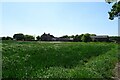 Fields near Grange Farm in YO41 4AZ