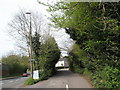 Eastern end of Station Road in GU29 9RJ