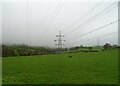 Grazing and powerlines, Tremeirchion in Tremeirchion Community