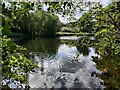 Grange Pool at Stirchley in TF3 1XY