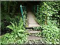 Footbridge over the stream in SY5 0UJ