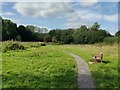 Path at the Stirchley Dingle Local Nature Reserve in TF3 1XY