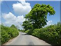 Minor road to East Ashley in EX19 8DJ