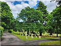 Aldershot Military Cemetery: May 2024 in GU11 4FQ