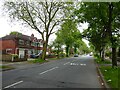 Tree-lined Hayeswater Road in M41 0UE
