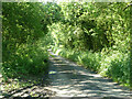 Lane from Cublington to Littlecote in MK18 3RY