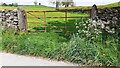 Gateway to buttercup field on north side of lane to Ladyford in LA9 6LJ