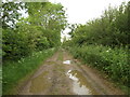 Red Road in Minting