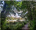 Path along the edge of Holmer Lake in TF7 4QT