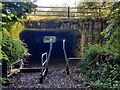 Underpass beneath the A442 Queensway in TF7 4QT