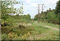 Path under the cables in RG20 9BG