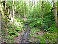 Stream at Brinnington by the M60 motorway in SK5 8LW