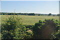 Trackside bushes and farmland in CT12 4HW