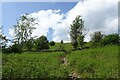 Path climbing Latterbarrow in LA22 0JG