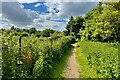 Footpath into Eynsham by the allotments in OX29 4LF