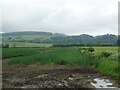 Crop field and hedgerow north of Penniston Lane in YO13 9NX