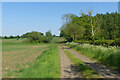 Track and farmland, Middle Claydon in MK18 2ET