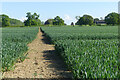 Farmland, Middle Claydon in MK18 2LE
